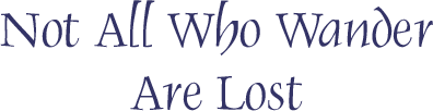 Not All Who Wander Are Lost